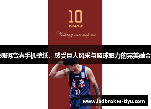 姚明高清手机壁纸，感受巨人风采与篮球魅力的完美融合